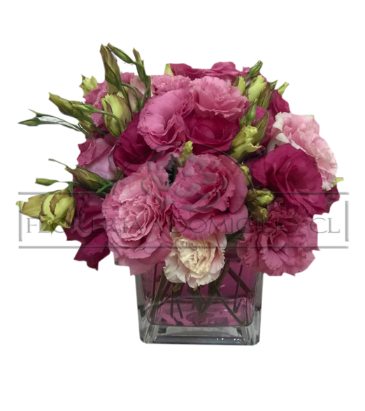 Cubo de Lisianthus